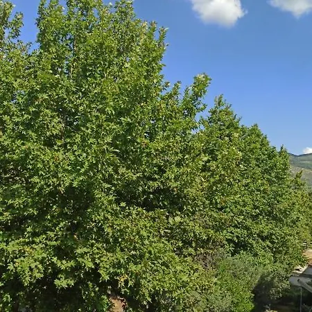 Kendinizi Evinizde Hissedin.. Selçuk